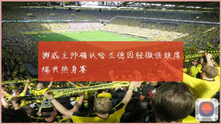 挪威主帅确认哈兰德因轻微伤缺席瑞典热身赛