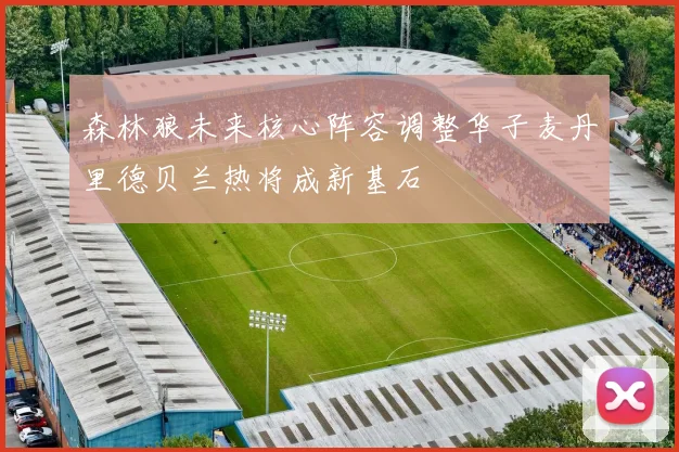 森林狼未来核心阵容调整华子麦丹里德贝兰热将成新基石